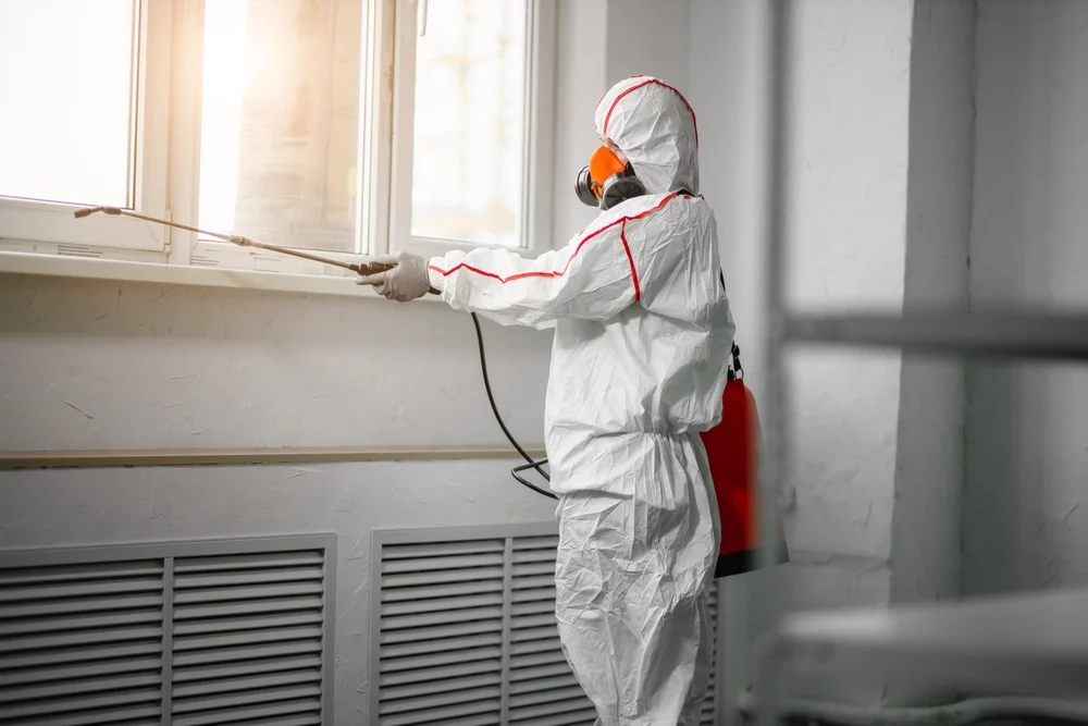 Professional mold remediation services in Cedar Creek, TX